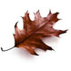 Product image thumbnail 2